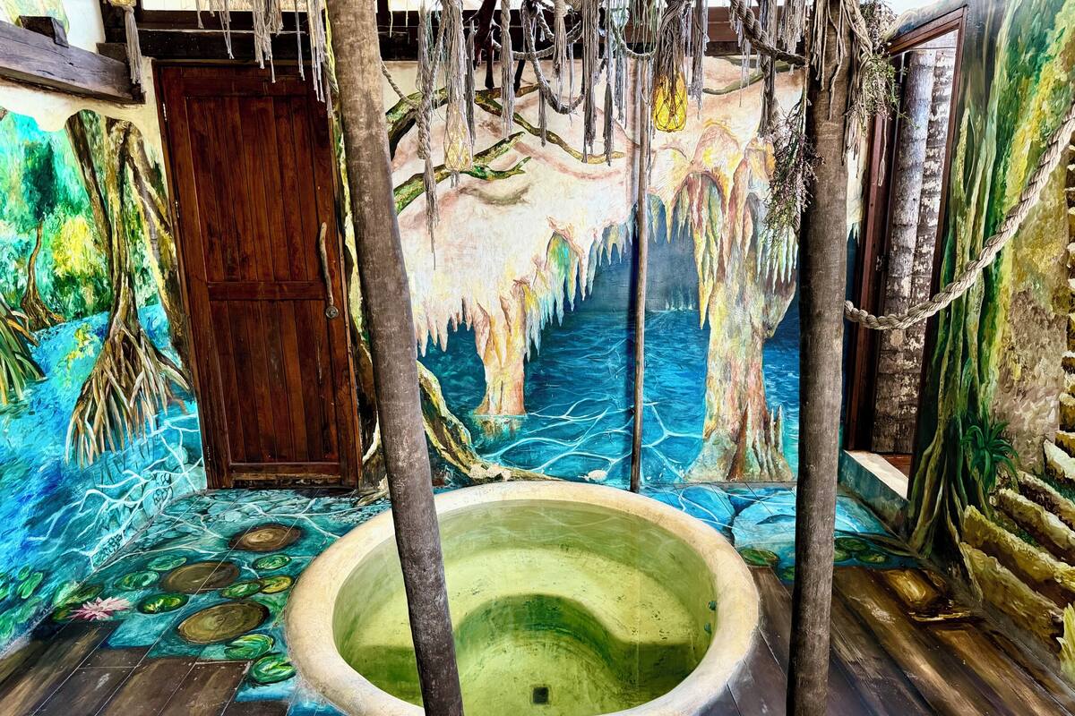 A room with a mural, a wooden door, and a circular pool.