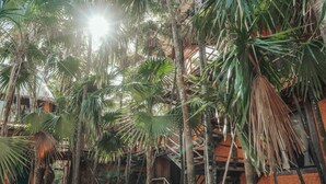 Unclassified image, 2 of 155, button - Alma Libre Hotel Tulum (Tulum)