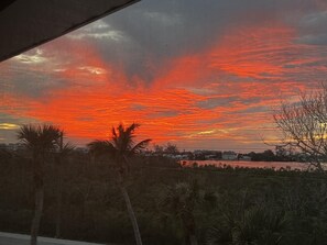 Een zonsondergang met een levendige lucht, palmbomen en een verre uitgestrekte waterpartij.
