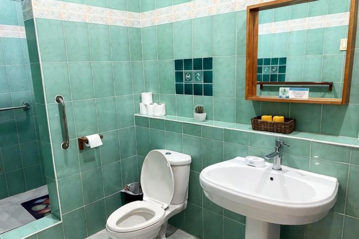 Ducha, secador de pelo, bidet, toallas