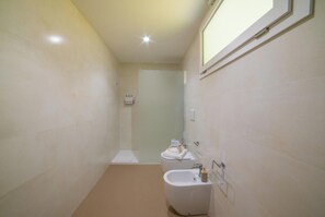 Shower, hair dryer, bidet, towels