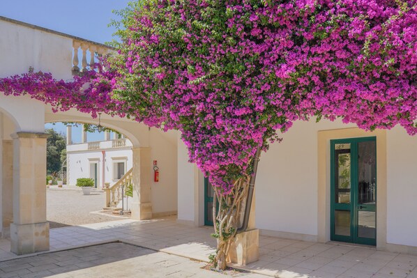 Exterior - Masseria San Biagio - Junior Suite 6, Calimera, Italy (Calimera)
