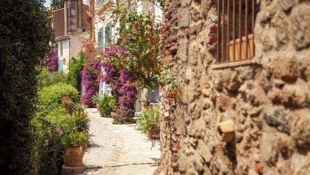 Una estrecha calle empedrada flanqueada por edificios de piedra con balcones y plantas en macetas.