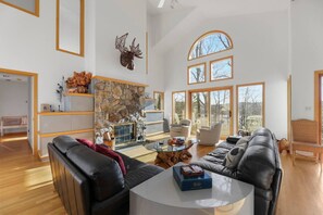 TV connectée, cheminée, livres