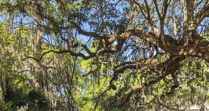 Cottage 35: Blue Heron Hideaway - Waterfront Lodging in Downtown Tavares, FL