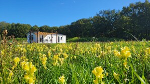 Ein weißes Haus mit einem Ziegeldach, umgeben von einem Feld gelber Blumen, und einem strahlend blauen Himmel.