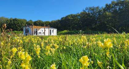 Hoeve Twente - De Wielewaal