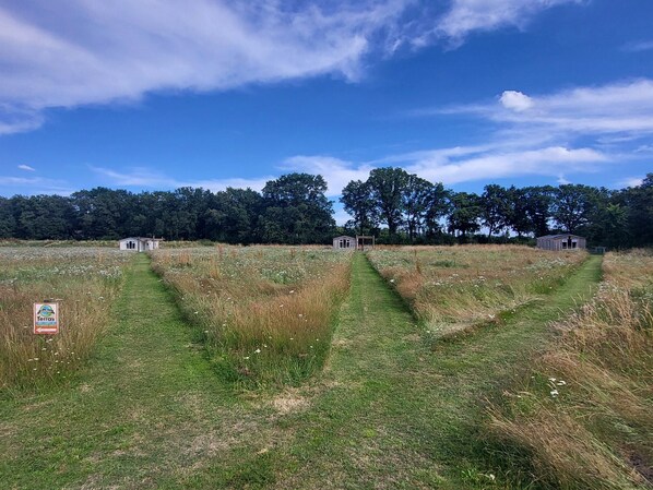 Un paisaje rural con cielo despejado, un campo cubierto de hierba y dos pequeñas construcciones de madera.