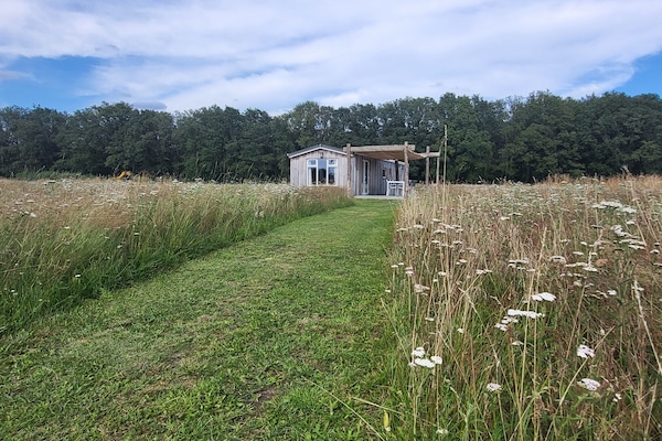 Außenbereich - Hoeve Twente - De Torenvalk