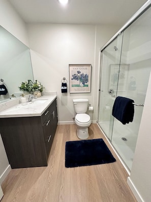 Hair dryer, towels, soap, toilet paper