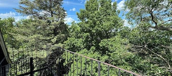 Fountain Lake Victorian-Spacious 6 bedroom home on the lake in lovely Albert Lea