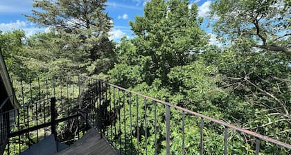 Fountain Lake Victorian-Spacious 6 bedroom home on the lake in lovely Albert Lea