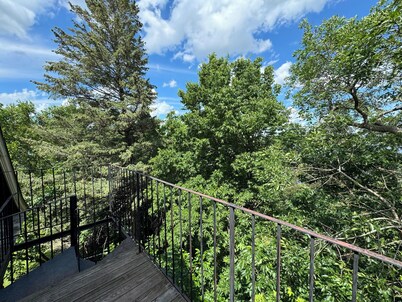 Fountain Lake Victorian-Spacious 6 bedroom home on the lake in lovely Albert Lea