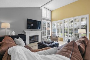 TV, fireplace, books