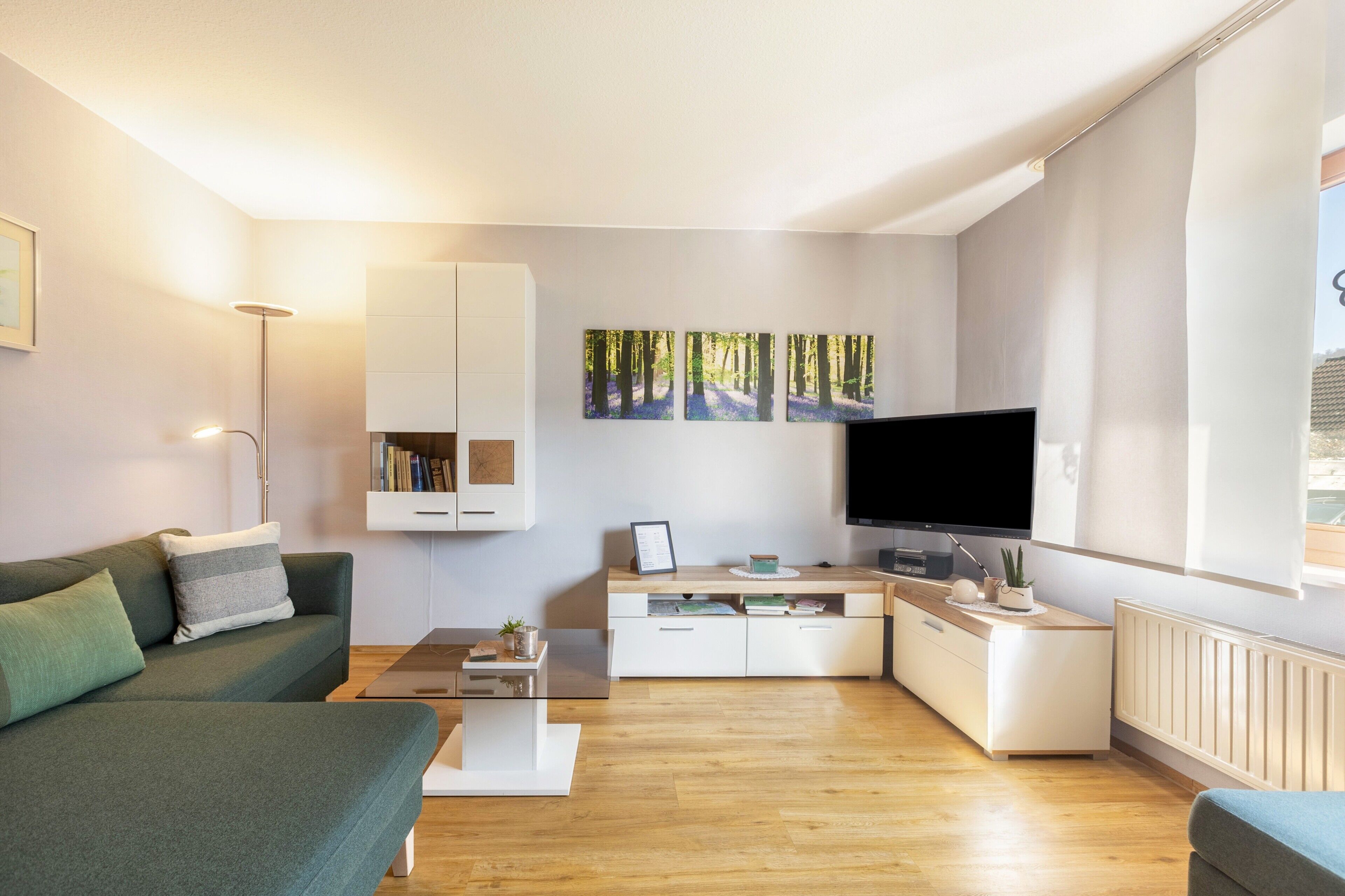 电视、DVD 播放器、立体声音响