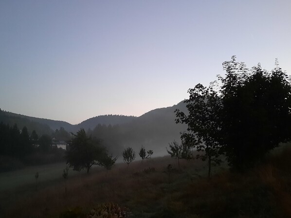 A misty landscape with trees and hills.