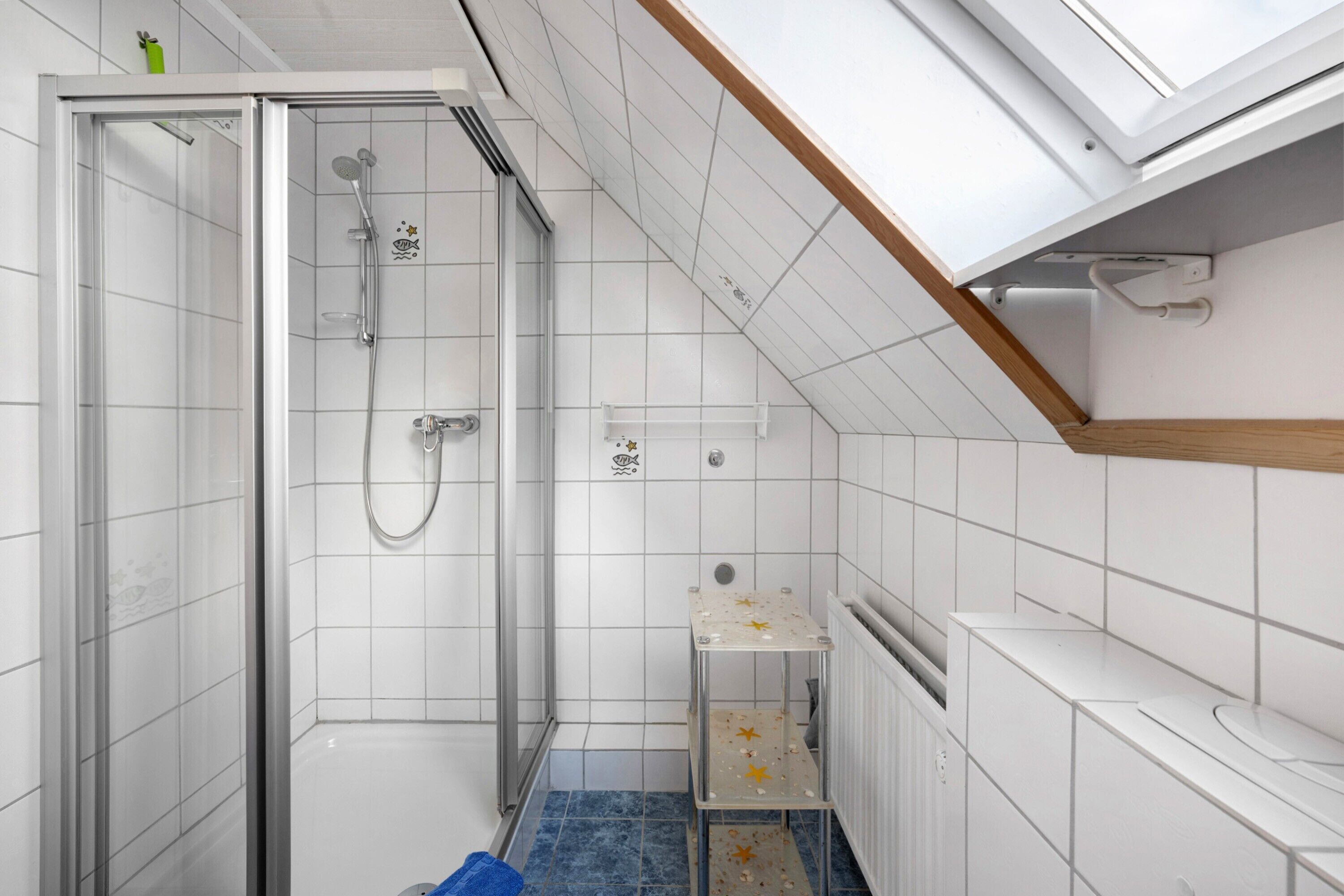 Shower, hair dryer