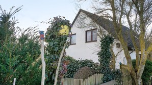 Una casa con techo inclinado, rodeada de árboles y una valla de madera.