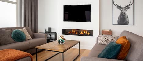 TV, fireplace, table tennis