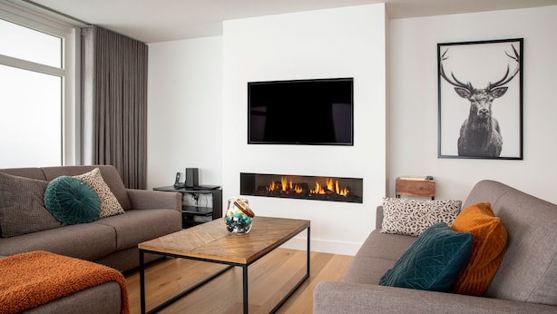 Un salon moderne comprenant un canapé, une table basse, une cheminée, un téléviseur et un tableau représentant un cerf, encadré.