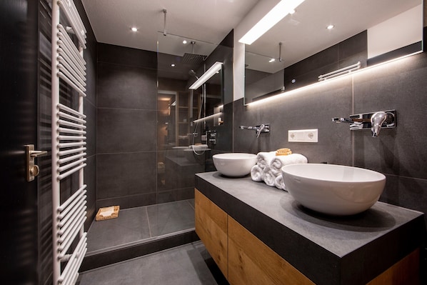 Shower, hair dryer, towels