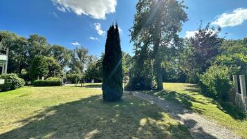 A well-maintained garden with a central pathway, surrounded by various trees and a clear sky.