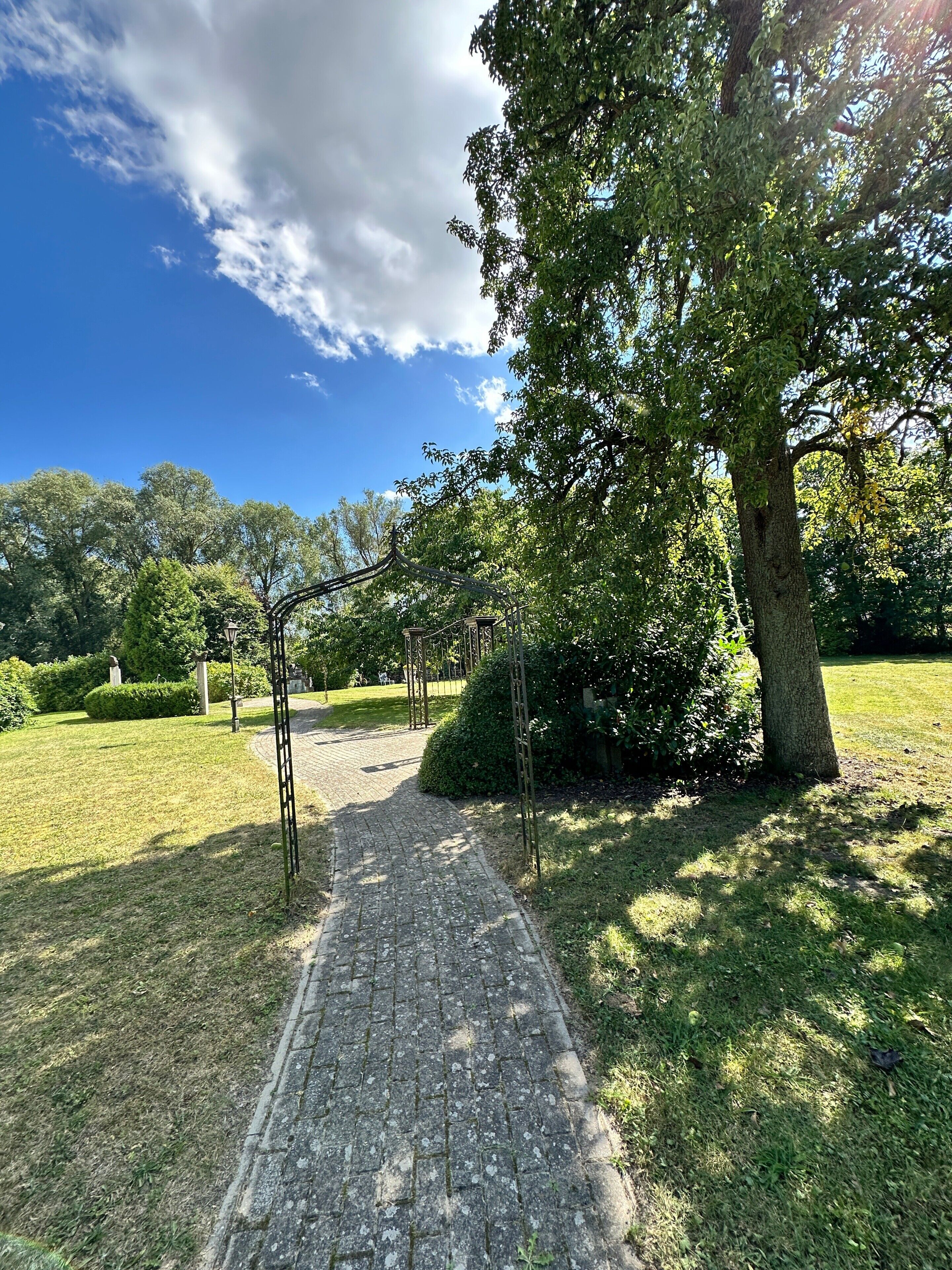 A paved pathway in a park with trees and a clear sky.