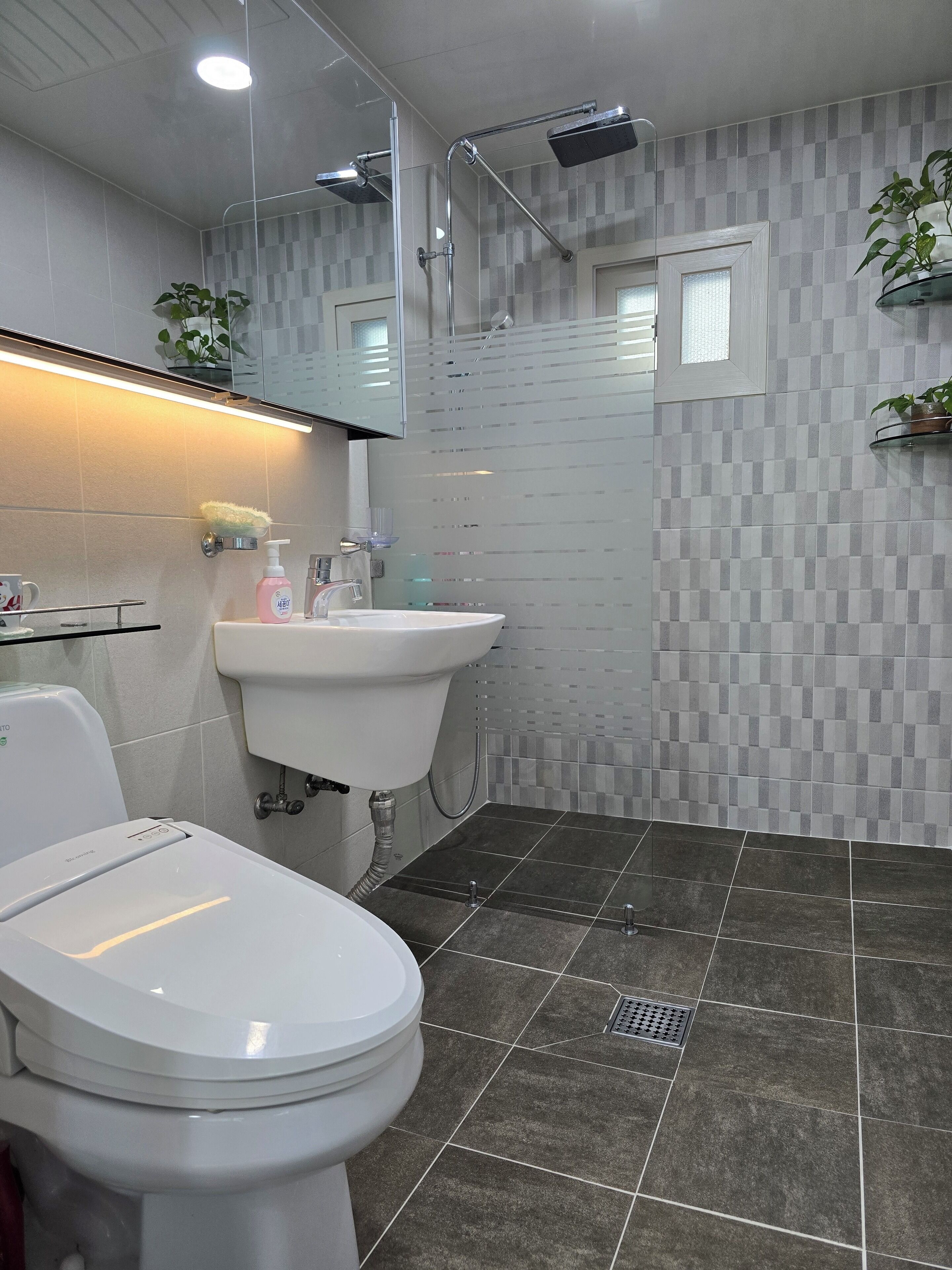 Hair dryer, bidet, towels, soap