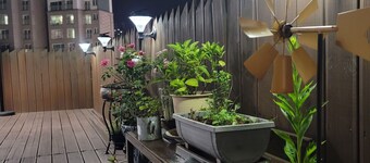 Seoul Charming Rooftop House with trees and flowers !