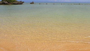 A beach with clear shallow water, a sandy shore, and a small island with vegetation. - SCALLOP BEACH CONDMINIUM (Onna)