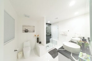 Hair dryer, towels, soap, shampoo