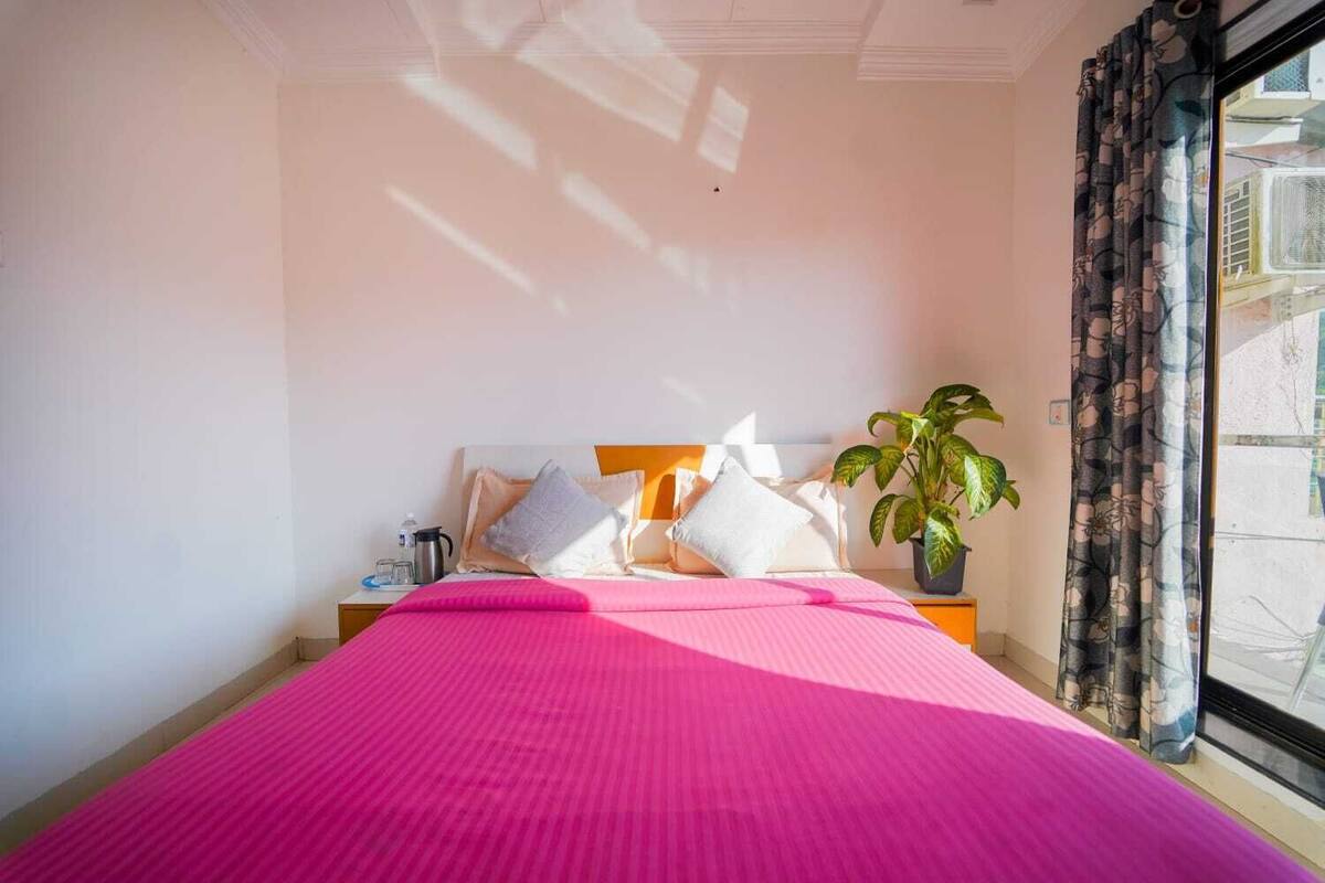 A hotel room with a bed, pillows, a bedside table with a plant, and a window with curtains.