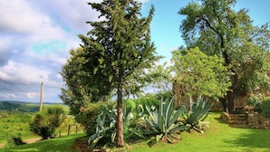 A lush garden with a variety of trees and large agave plants. - Cottage in Tuscany with patio (Castiglione D'orcia)