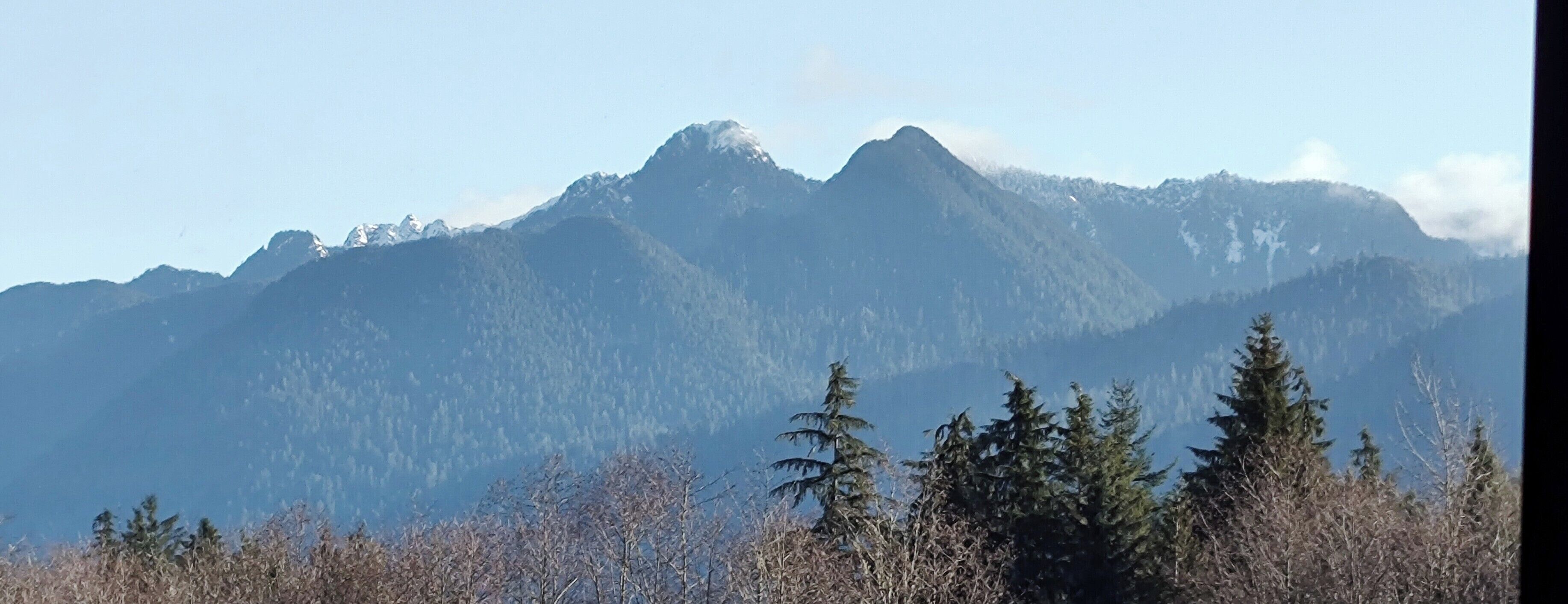 A mountain range with dense forests in the foreground.