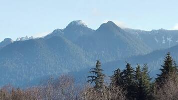 A mountain range with dense forests in the foreground.