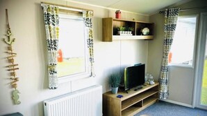 Una habitación con televisor sobre un soporte de madera, un radiador, una estantería con plantas y una ventana con cortinas.