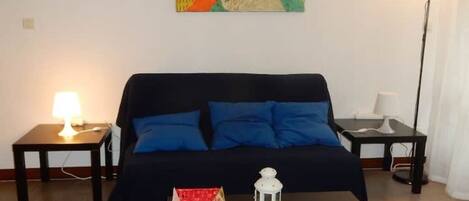 Télévision, lecteur de DVD, livres