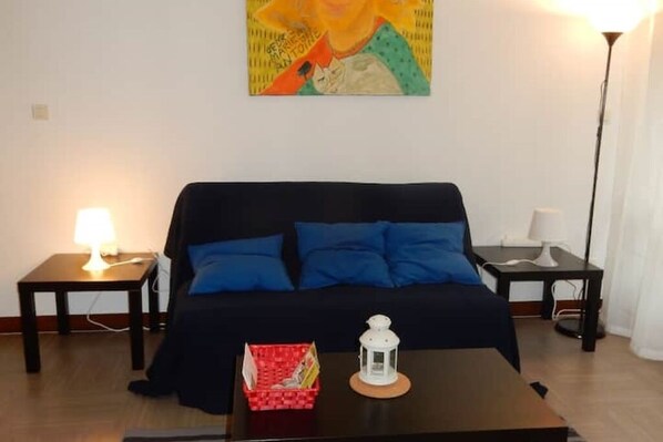 Televisie, een dvd-speler en boeken