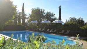 A swimming pool with lounge chairs and umbrellas, surrounded by greenery and tall trees.