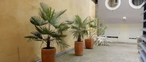 Terraza o patio