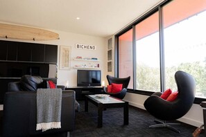 TV, fireplace, books