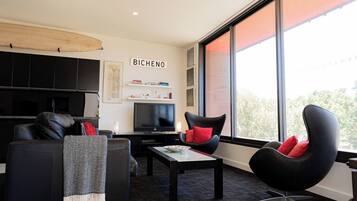 TV, fireplace, books