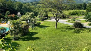 A lush green landscape with a clear sky, a tree in the foreground, and a view of distant hills.