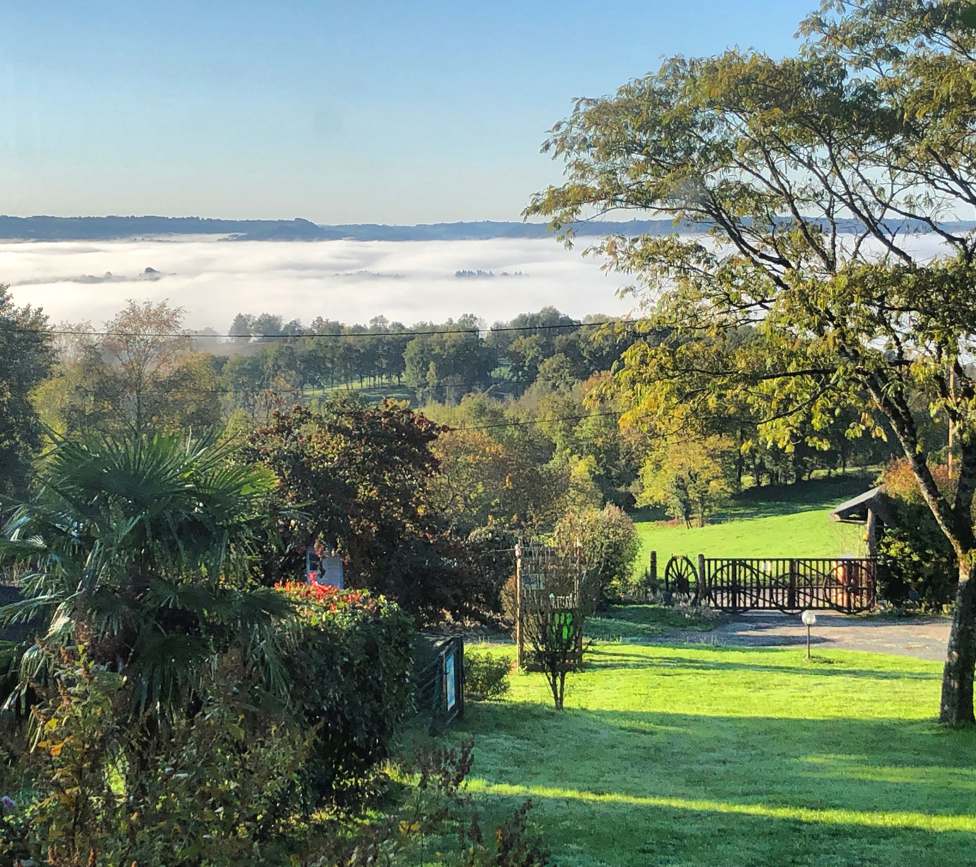 A lush garden with a variety of trees and shrubs, a grassy area, and a distant view of a body of water.