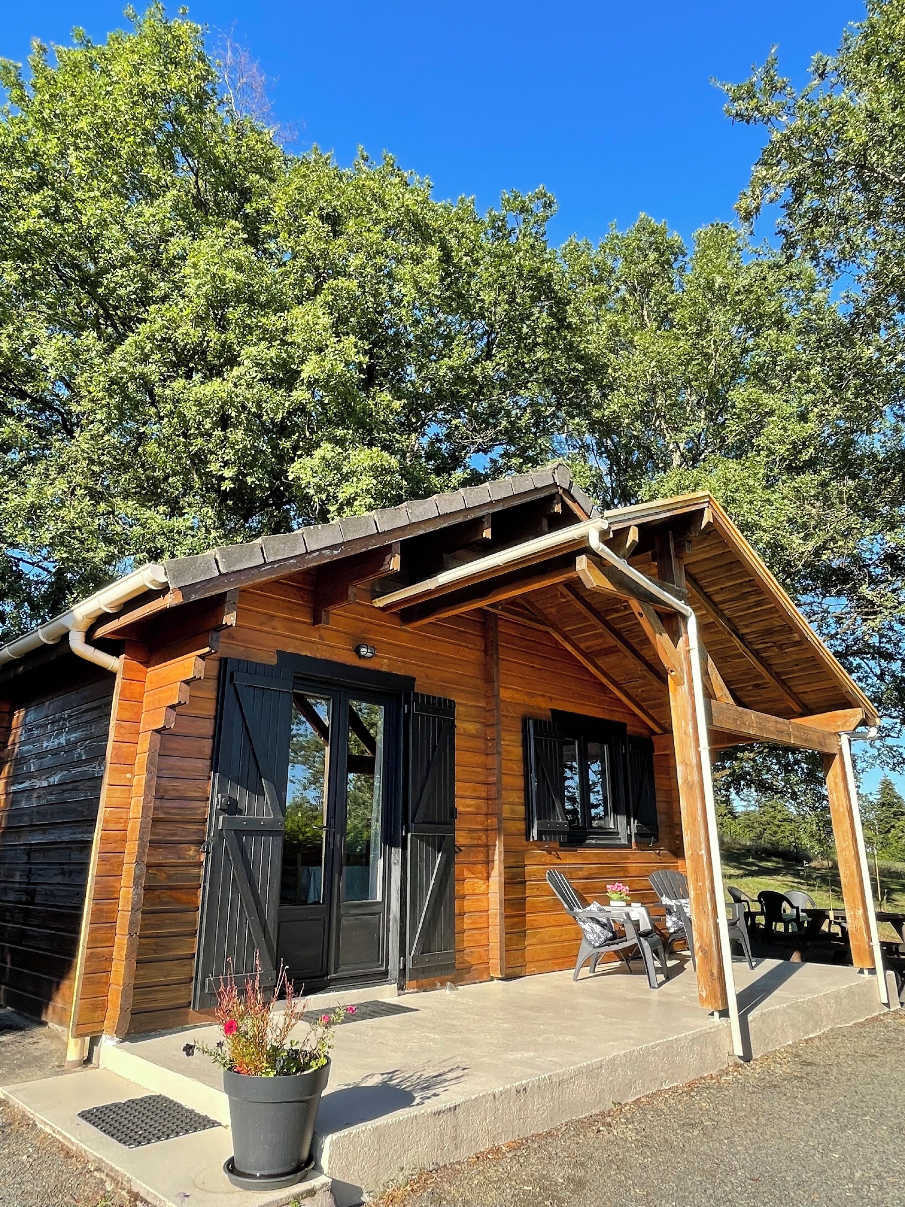 Une cabane en bois avec un porche couvert, de grandes fenêtres et un pot de fleurs placé sur les marches.