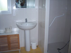 Shower, hair dryer, bidet, towels