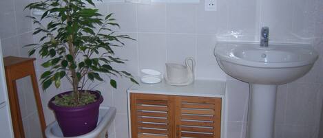 A bathroom with a toilet, sink, and a potted plant.