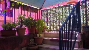 Un escalier orné de plantes en pot et doté d’une rampe bleue.