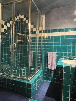 Shower, hair dryer, bidet, towels