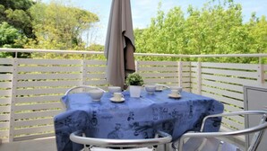 A table set outdoors with a blue tablecloth, white plates, cups, and a small potted plant.